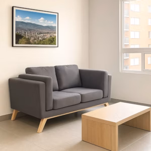 BINDELUX103 Sofá Gentil 2 puestos Gris Lona anti fluidos 165x80x80_01_03