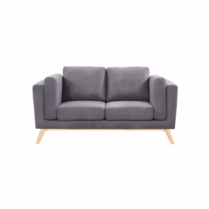 BINDELUX103 Sofá Gentil 2 puestos Gris Lona anti fluidos 165x80x80_02