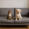 Sofás pet friendly anti fluidos - Muebles de Lujo Colombia - www.mueblesdelujo.co